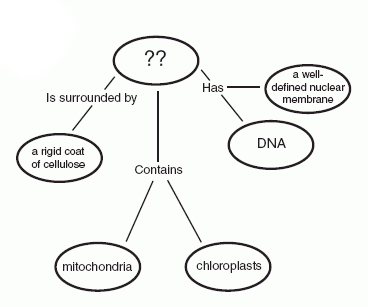 Gene Concept Map